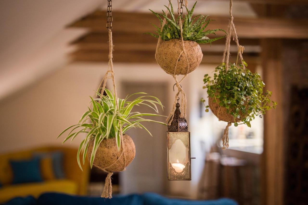 Appartement Gigantic Boho Chic 3 Bedroom 3 Bathroom Loft With Hanging Chair Prague